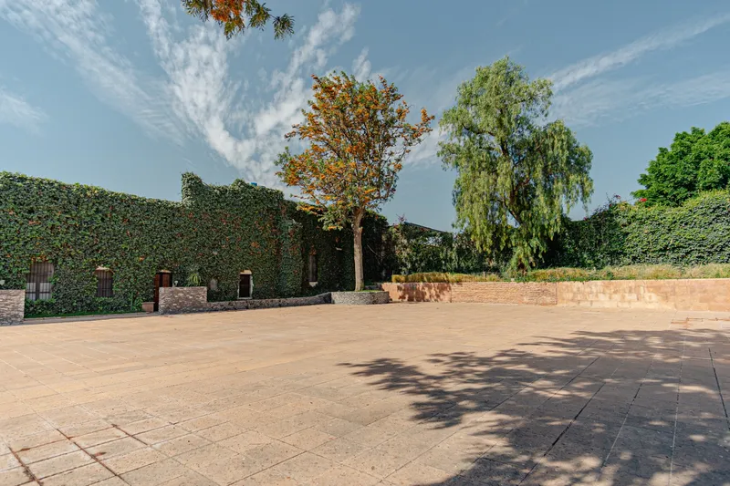 Patio Robles